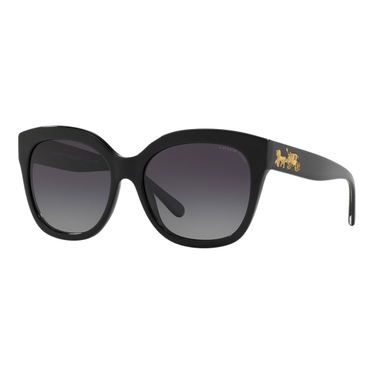 Coach Women's Polarized HC8264 Sunglasses