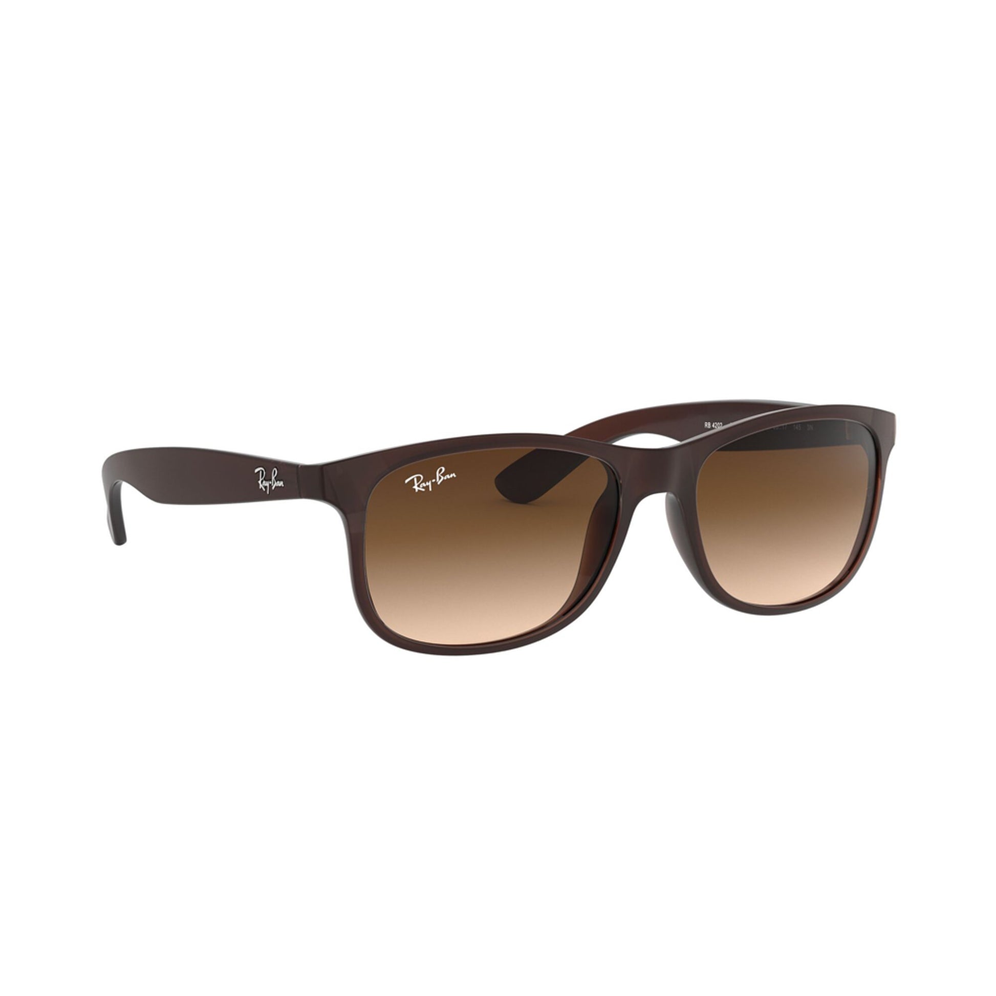 Ray-Ban Andy Sunglasses